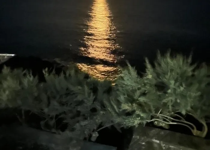 Σπίτι διακοπών Casa Da Salga *